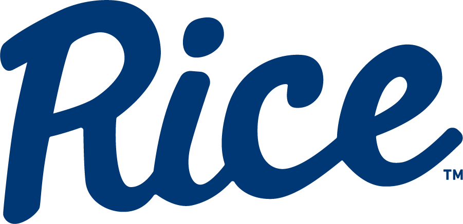 Rice Owls 1990-2000 Wordmark Logo diy iron on heat transfer